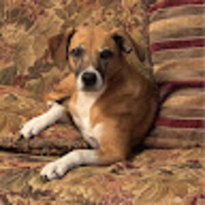 Meet your Posher, Jen